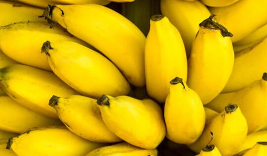小米蕉和香蕉的区别(小米蕉功效与作用禁忌)