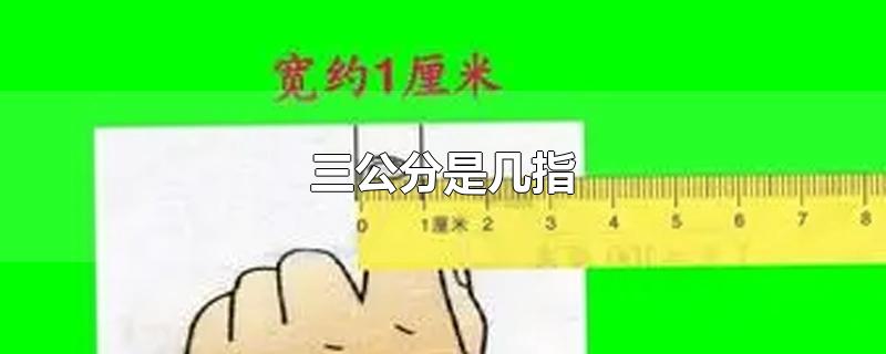 上公字,翻译成公分,这个旧称后来统一改为厘米,即国际通用的长度单位