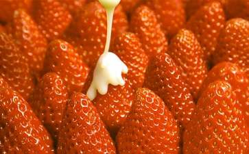 草莓储存一周时间方法及步骤(草莓的正确保存方法)