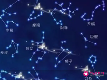 十二星座最喜欢什么颜色(十二星座最喜欢的颜色是什么)