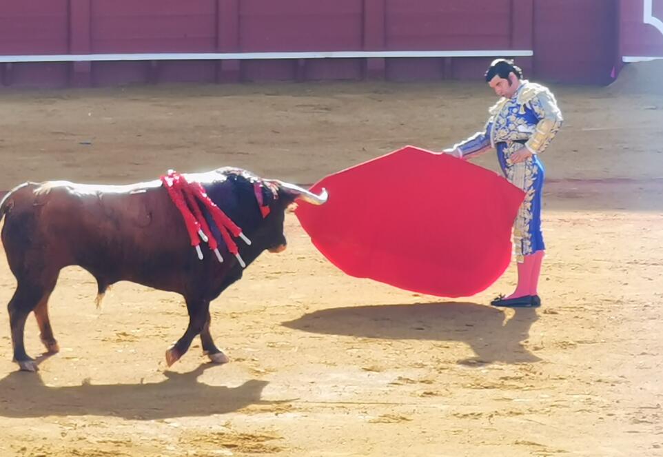 西班牙斗牛为什么要把牛杀死(斗牛士一定要刺死牛吗)