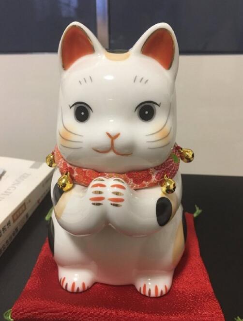 三花猫为什么招财(三花猫一般都是母猫)