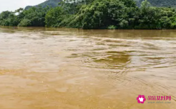 梦见河水很大很浑浊(梦见河水很大很浑浊)