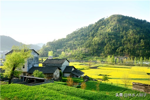 在家办厂小型加工项目(自己在家办厂加工)