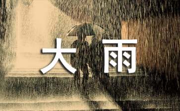 梦见下大雨财运如何