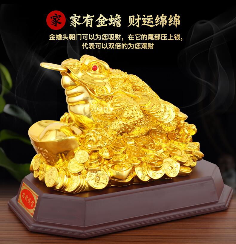 金蟾是什么动物