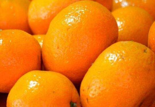 买橘子是什么梗(买橘子是什么梗)