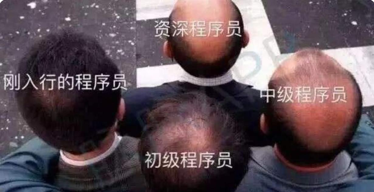 程序员为什么会秃头(程序员秃顶的原因)