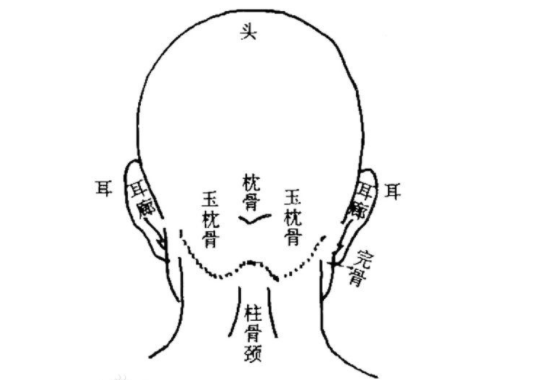 龙转世为人的性格特征(龙转世为人的明显特征)