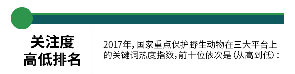 中国一级保护动物名单(国家一级保护动物有哪些名单)