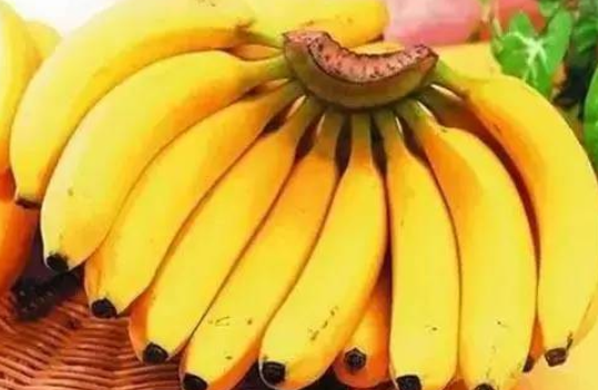 香蕉对身体10大好处(香蕉对身体10大好处)