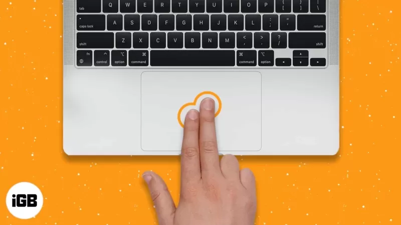苹果笔记本鼠标右键怎么用(mac右键怎么按没反应)
